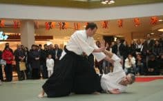 2017/01/aidas-aikido-aikikai-asociacija-6-236x146.jpg