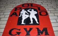 Apollo Gym, sporto klubas