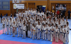 2017/01/argus-karate-sporto-klubas-3-236x146.png