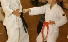 Danas, Anykščiai, tradicinio karate do klubas