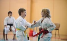 2017/01/danas-vilnius-tradicinio-karate-do-klubas-10-236x146.jpg