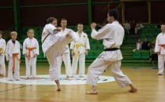 2017/01/danas-vilnius-tradicinio-karate-do-klubas-5-236x146.jpg