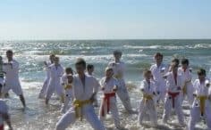 2017/01/danas-vilnius-tradicinio-karate-do-klubas-8-236x146.jpg