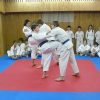Žemaitis, Mažeikių karate klubas