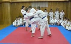 2017/01/emaitis-mazeikiu-karate-klubas-2-236x146.jpg