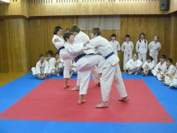 Žemaitis, Mažeikių karate klubas