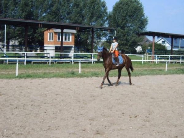 Horsina, Žirginio sporto ir turizmo klubas