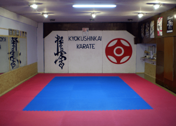 Kaminaris, karate sporto klubas