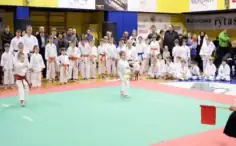 2017/01/karate-akademija-vilniaus-sporto-klubas-1-236x146.webp
