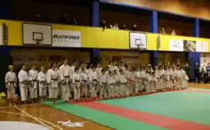 KARATE AKADEMIJA, Vilniaus sporto klubas