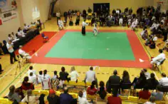 2017/01/karate-akademija-vilniaus-sporto-klubas-4-236x146.webp