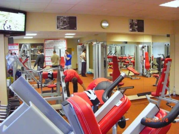Master Gym