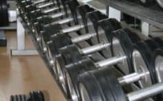 2017/01/muscle-factory-gym-sporto-klubas-5-236x146.jpg