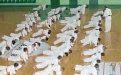 2017/01/okinava-klaipedos-m-karate-kyokushin-klubas-12-236x146.jpg