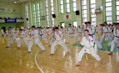 2017/01/okinava-klaipedos-m-karate-kyokushin-klubas-13-236x146.jpg