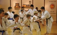 2017/01/rytai-karate-sporto-klubas-2-236x146.jpg