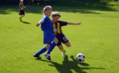 2017/01/siauliu-futbolo-akademija-1-236x146.webp