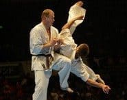 2017/01/toshi-karate-mokykla-2-185x146.jpg